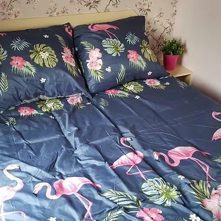 Kompleks wypoczynkowy Bolęcińskie Zacisze- Noclegi, Okolice Zator *